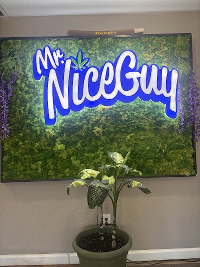Mr Nice Guy