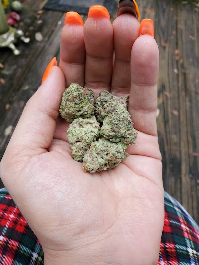 MÜV Dispensary Lady Lake