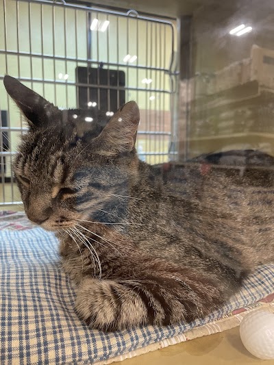 MÜV Dispensary Lady Lake