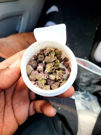 MÜV Dispensary Lutz