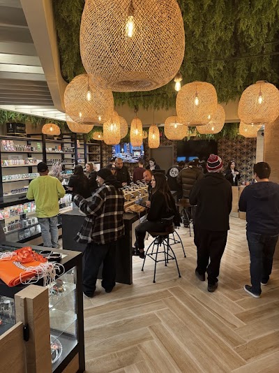 Mystika Cannabis Dispensary