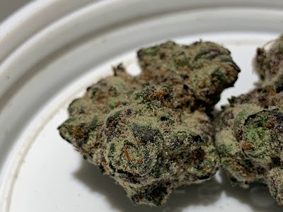 Native Medicine Dispensary