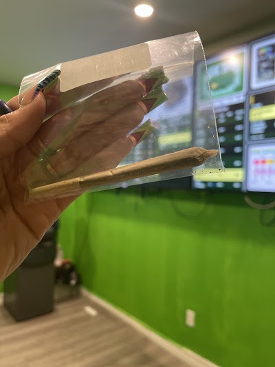 Native Medicine Garden