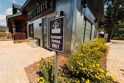 Native Roots Marijuana Dispensary Dillon REC