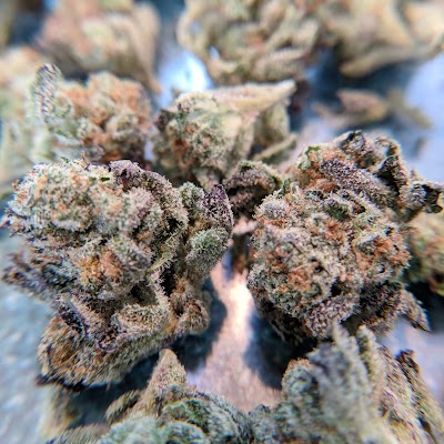 Native Roots Marijuana Dispensary Longmont MED/REC