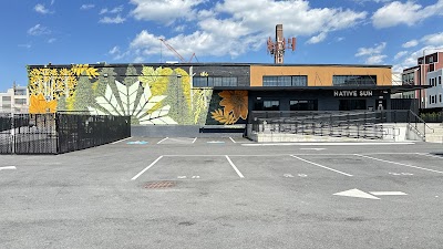 Native Sun Weed Dispensary South Boston