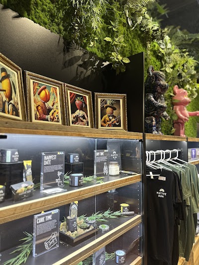 Native Sun Weed Dispensary South Boston