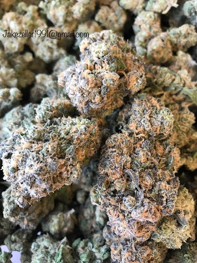 Natural Alternatives for Health