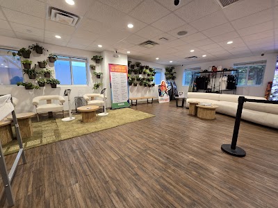 Nature Medicines Dispensary