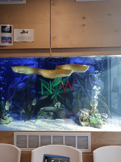 Nature's Care & Wellness