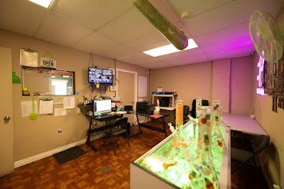 Needles Express Dispensary