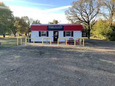 Neon Bloom Dispensary