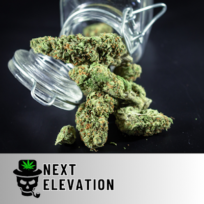 Next Elevation Dispo