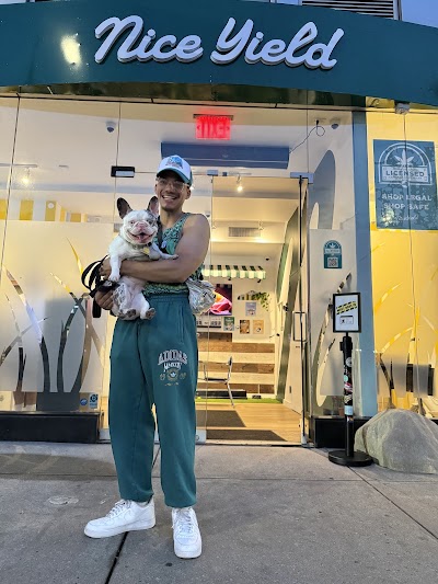 Nice Yield Dispensary