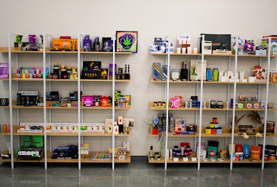 Nirvana - Lake Zurich