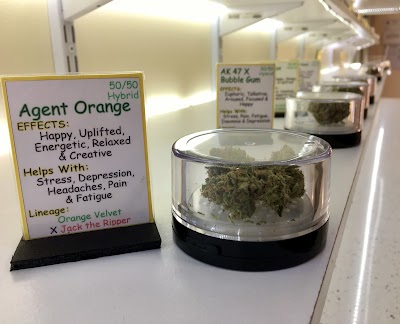 Norridgewock Springs