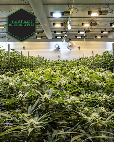 Northeast Alternatives Dispensary - Fall River