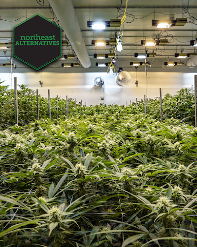 Northeast Alternatives Dispensary - Fall River