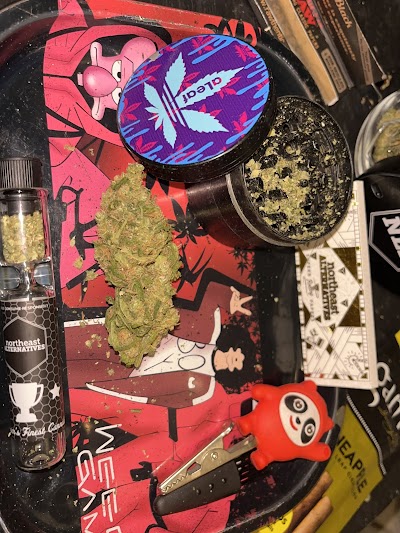 Northeast Alternatives Dispensary - New Bedford