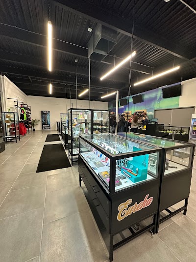 Northern Lights NY Dispensary
