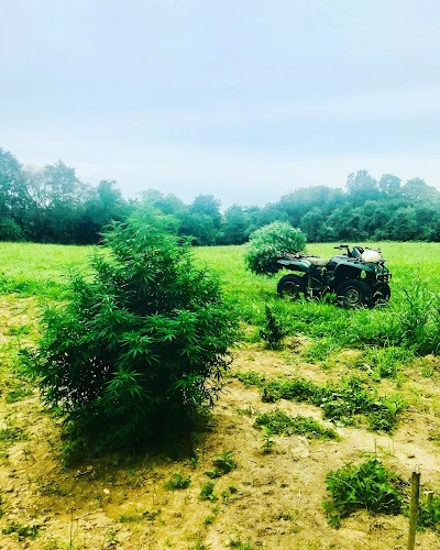 Northern Virginia Hemp Company L.L.C - “Virginia Hemp”