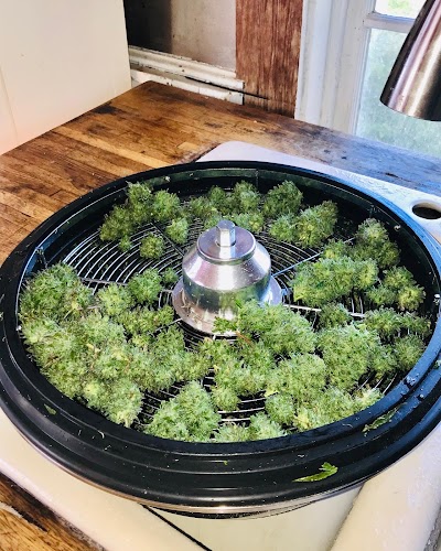 Northern Virginia Hemp Company L.L.C - “Virginia Hemp”