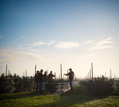 Nova Farms Dispensary Attleboro