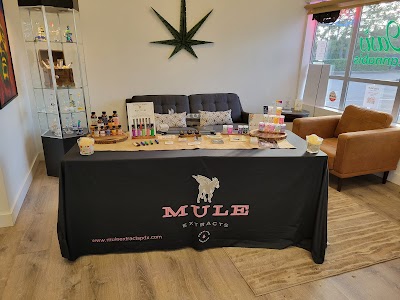 Oasis Cannabis Newberg