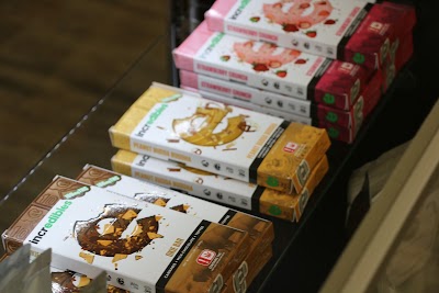 Oasis Healing Center