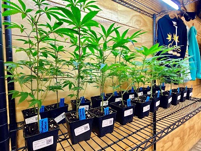 Oasis Healing Center