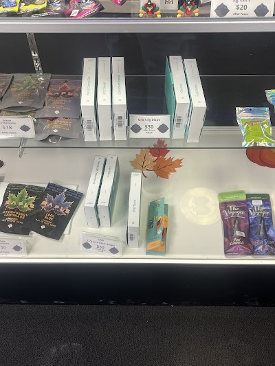 Obsidian Haze Dispensary