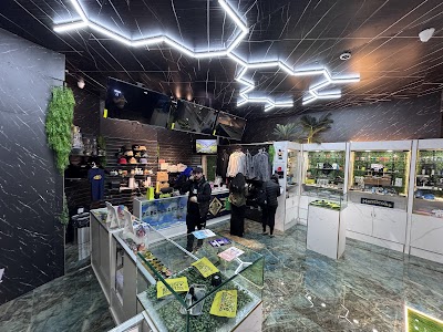 OC Dispensary Brooklyn