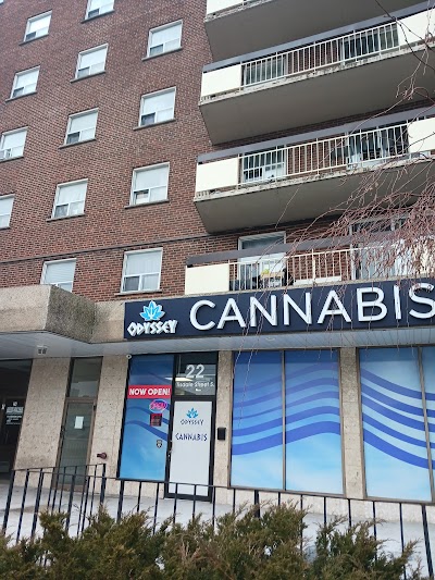 Odyssey Cannabis- PARADISE CANNABIS