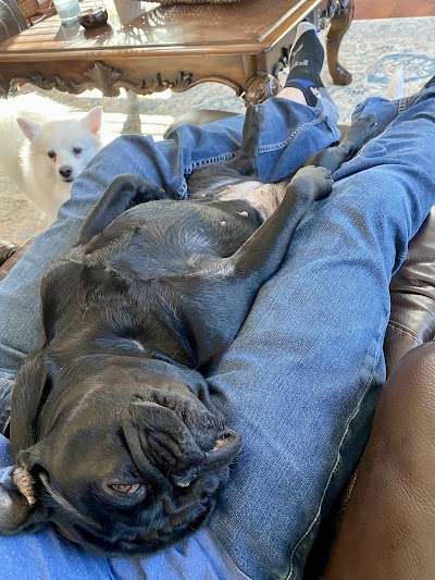 OG Collective Dispensary - West Salem