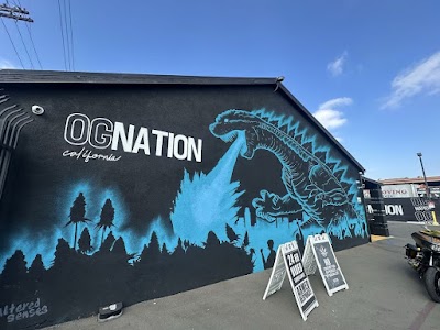 OG NATION