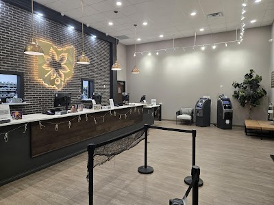 Ohio Cannabis Company