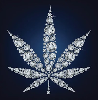 Ohm Theory - Recreational Cannabis/Marijuana Dispensary (Elmwood Park, NJ)