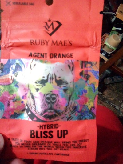 OKIE WONDERLAND - MIDTOWN TULSA + DRIVE THRU