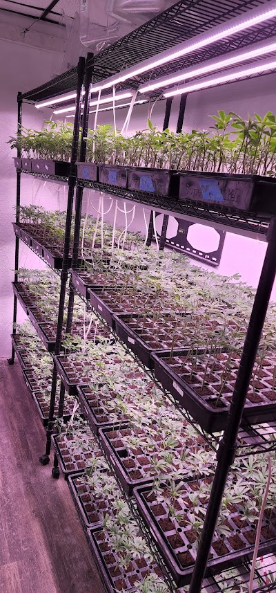 Oklahoma Clone Store