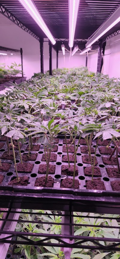 Oklahoma Clone Store