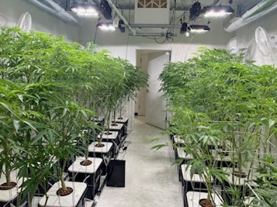 Oklahoma Clone Store