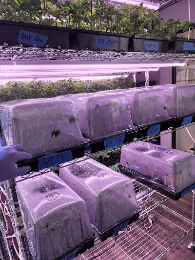 Oklahoma Clone Store