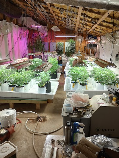 Oklahoma Clone Store