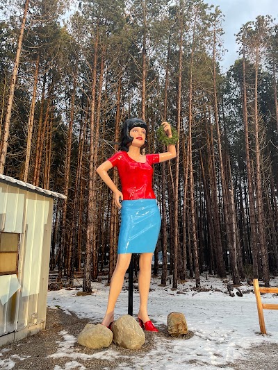 Olean's Northport - Recreational Cannabis Leelanau County and Traverse City