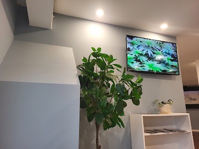 On The Ridge Cannabis Co.