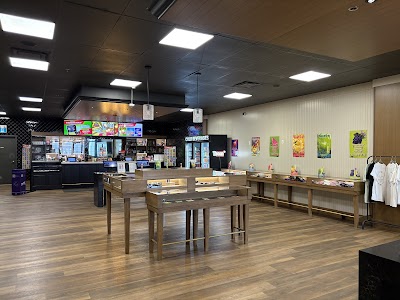 One Plant - Ajax Westney Road