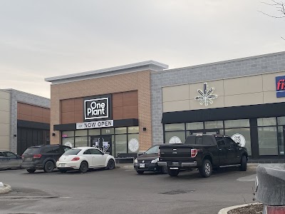 One Plant - Barrie Cundles