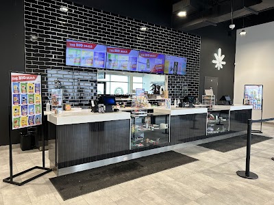 One Plant - Barrie Cundles