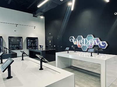 One Plant - Barrie Cundles