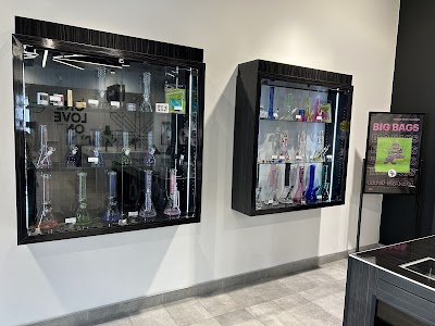 One Plant - Barrie Cundles